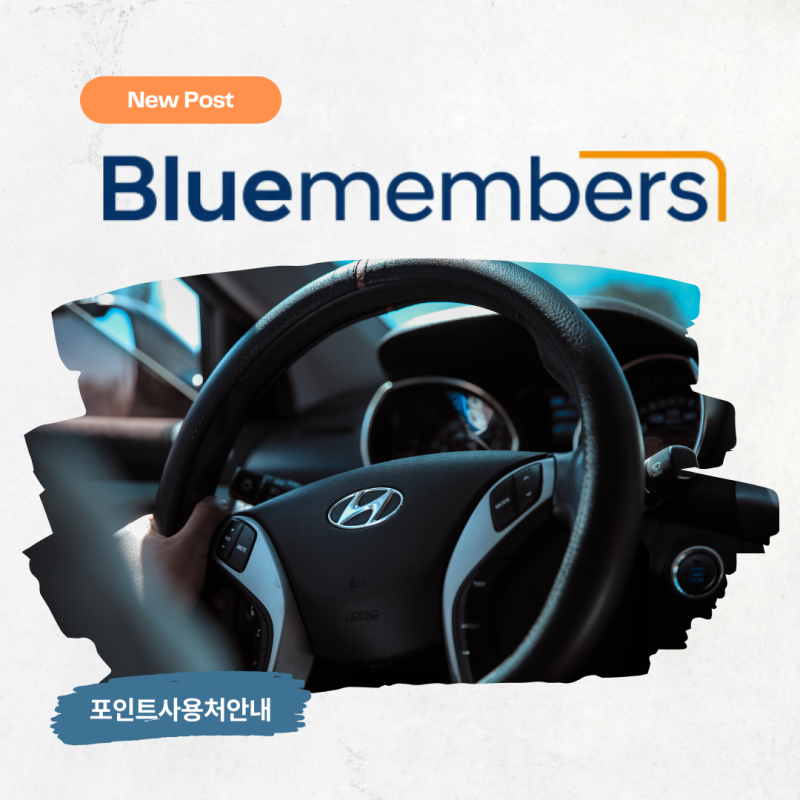 연말 맞이 블루멤버스 포인트 소진 총정리