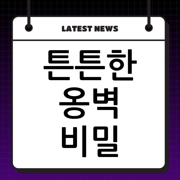  튼튼한 보강토 옹벽, 두정건설과 함께! 시흥 보강토 전문업체의 특별한 시공 노하우 공개!