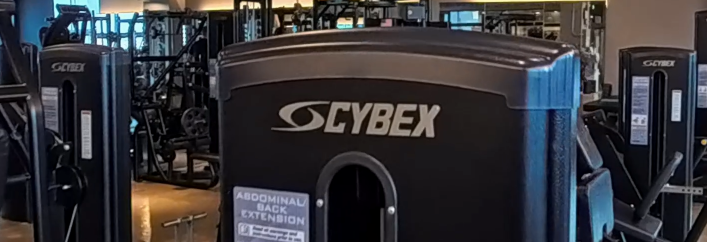 관절까지 생각하는 헬스 머신?사이벡스(Cybex) 브랜드 완전 분석기능성 근력운동의 끝판왕