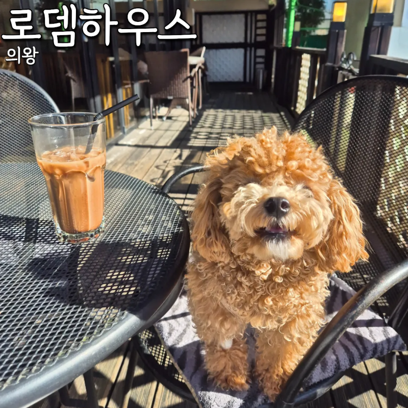 사진 5