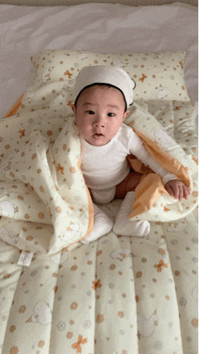베베데코 어린이집낮잠이불, 올데이 듀얼 낮잠이불 추천 후기