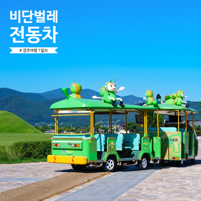 경주 비단벌레차 예약도 중요하지만..현장예매 꿀팁과 코스 주차장 정보까지 한눈에