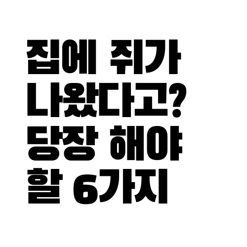  쥐 퇴치 가이드, 친구집 쥐 나옴,,,