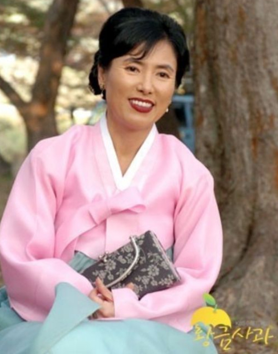   전원일기 이미지 배우 사망 8주기, 신장 쇼크로 2주만에 발견?! '노마 엄마'의 마지막 이야기가 재조명