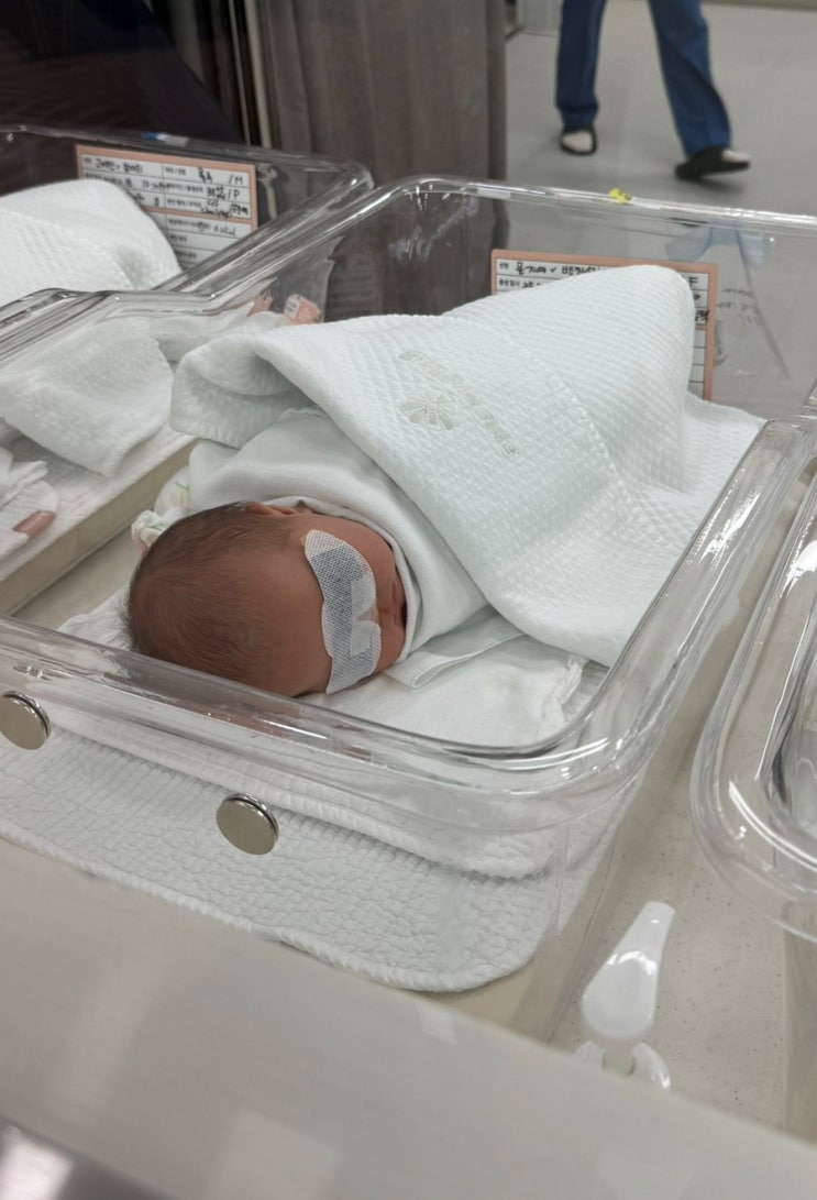  리베르 산부인과 제왕절개 5-6일차 기록 | 제왕절개 비용, 신생아 황달, 리베르리움 병동대기