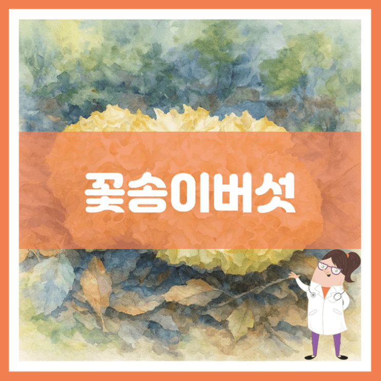 꽃송이버섯 효능 부작용 보관방법