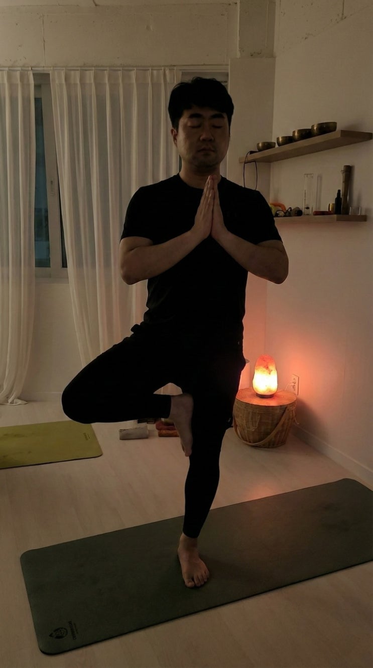  오늘의 요가 - 나무자세, 브륵샤아사나 (Vrksasana, Tree pose)