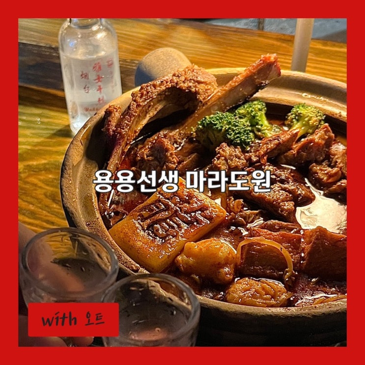  프리미엄 직화 마라탕 성수 맛집 용용선생 마라도원