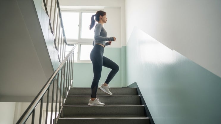  계단오르기 다이어트 효과, 하루 10분이면 몸이 달라집니다