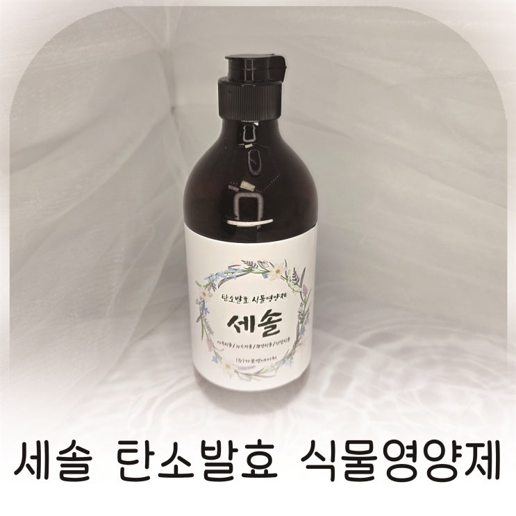  세솔 탄소발효 식물영양제 반려식물 성장 변화 느낀 사용기