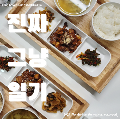  진짜 그냥 일기 | 냉장고 털기, 집밥의 제왕. SKT할인 개꿀. 제철 방어 존맛!