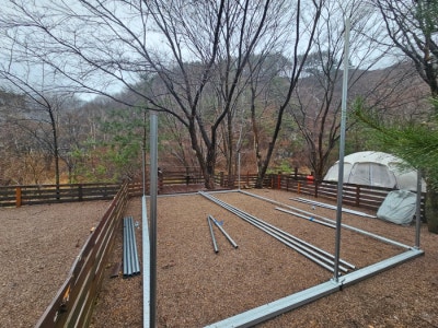 사진 2
