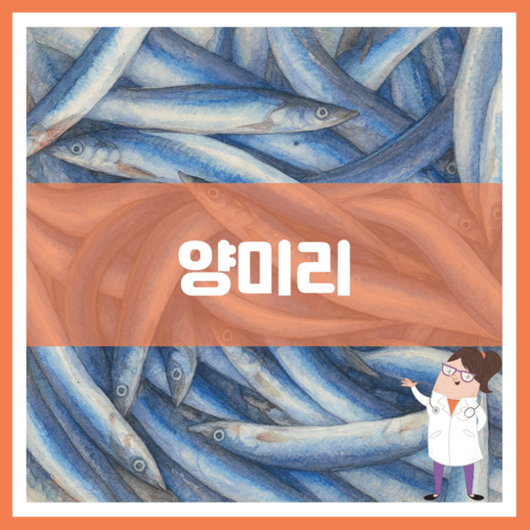  양미리 효능 부작용 고르는 방법