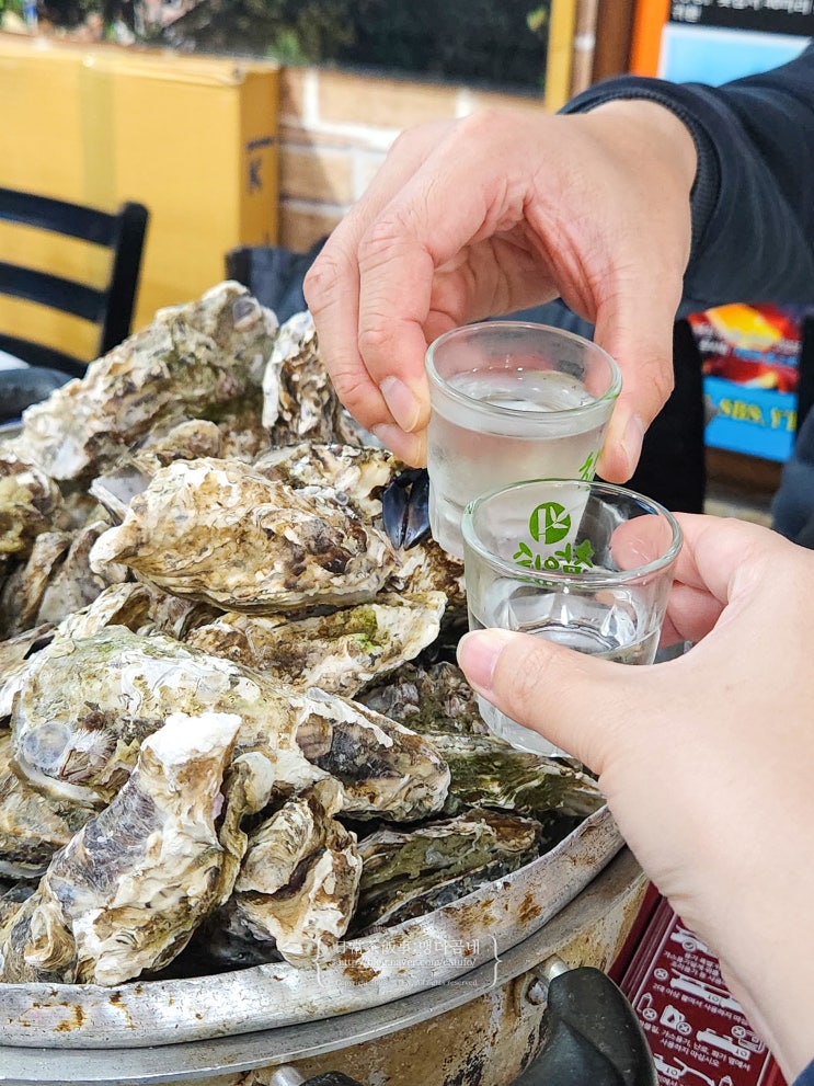 광주 북구 굴찜 무한리필 맛집 용봉동 여수밤바다 내돈내산
