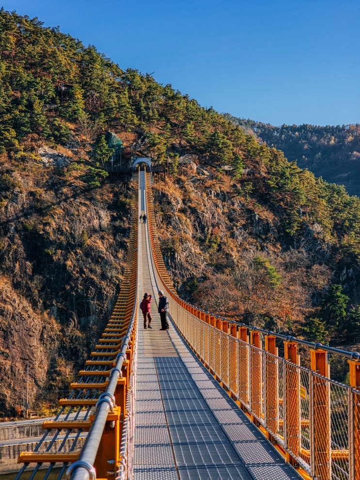  금산 가볼만한곳, 월영산 출렁다리(주차장, 소요시간)