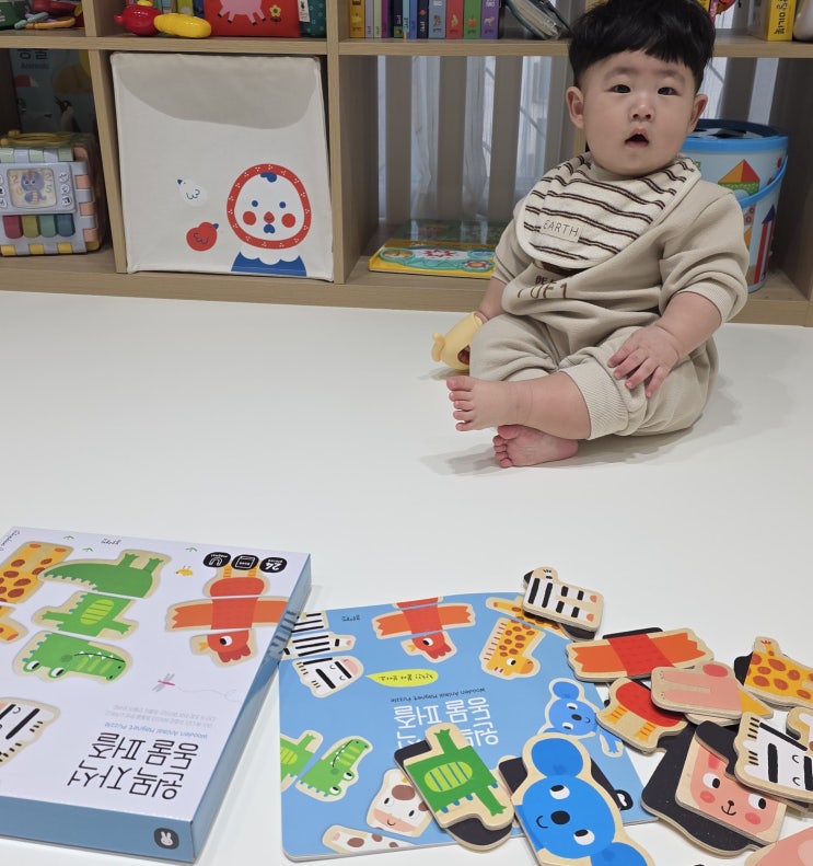  8개월 아기 첫전집 블루래빗 오감발달 원목장난감 자석 동물 퍼즐 후기