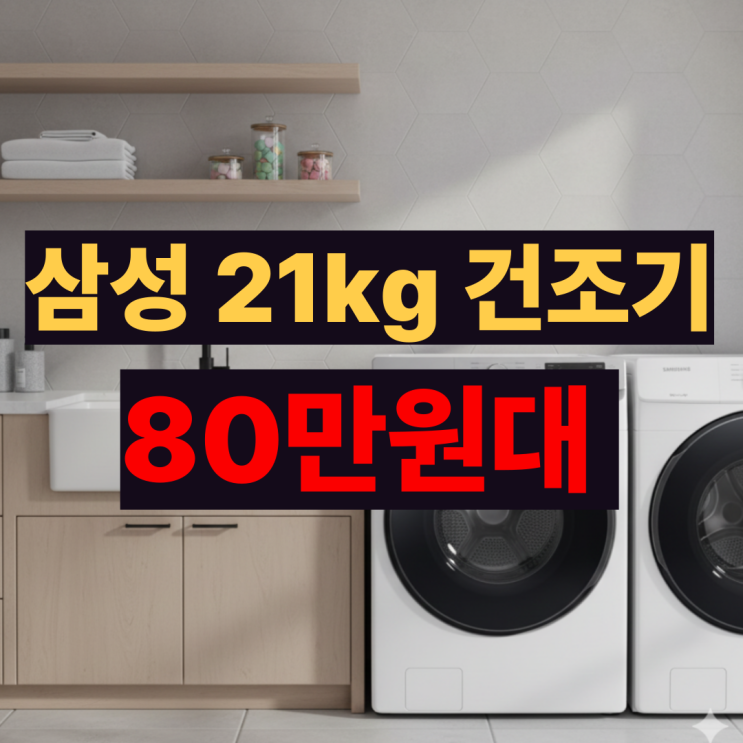  DV21DG8600BW 삼성 21kg 건조기 후기 최저가 장점 단점