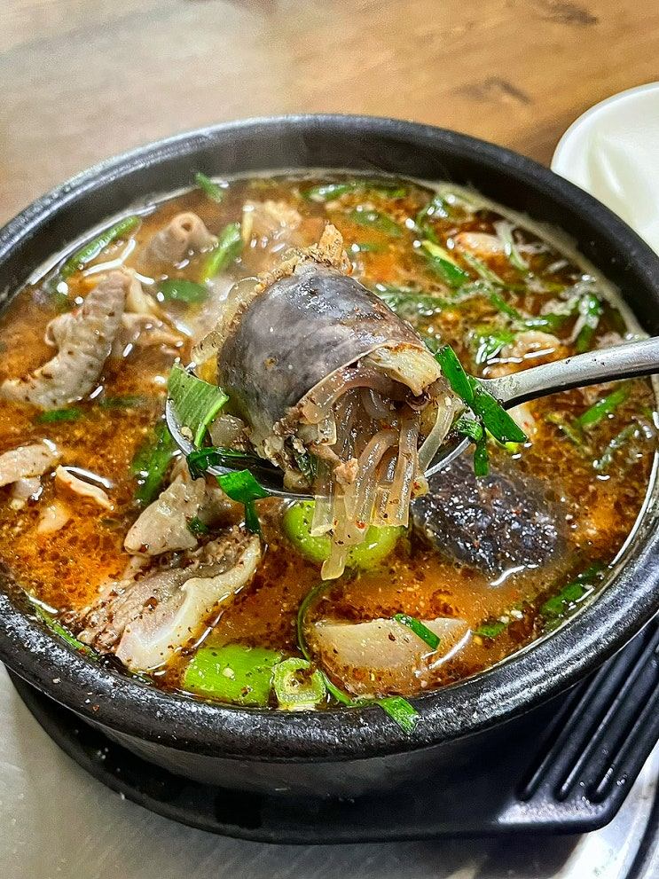  대전 중앙시장 순대골목 노포 맛집 추천 푸짐한 순대국과 막창순대가 있는 오뚜기순대 (내돈내산)