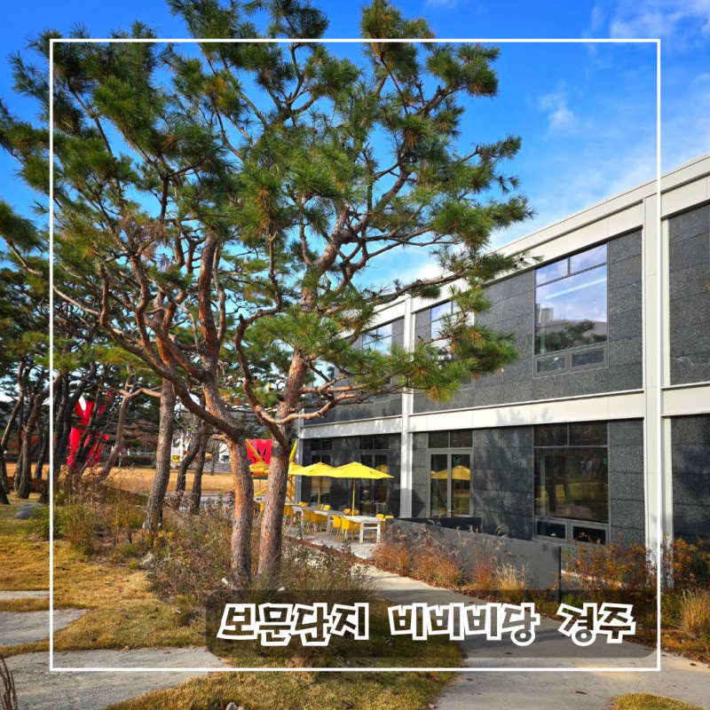 사진 6