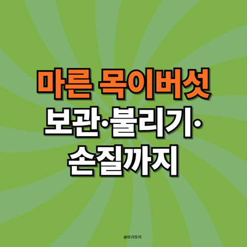 마른 목이버섯 보관법, 손질법, 불리기 (ft. 효능까지)