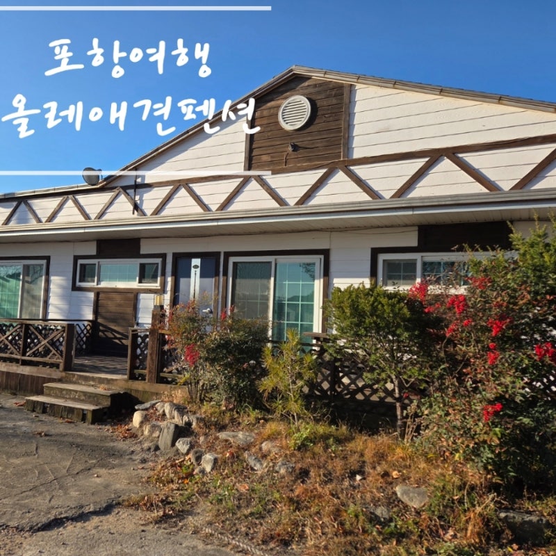 사진 3