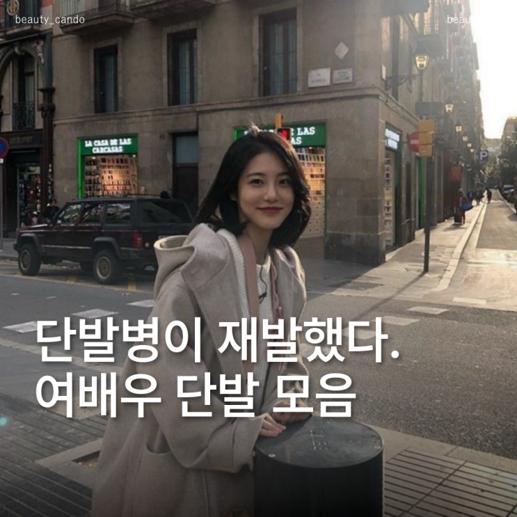  단발병유발 대표 연예인 신예은 송혜교 신민아 아이유 머리 모음
