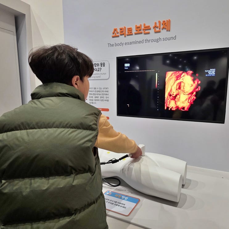  강원도 아이와 가볼만한곳 체험 많은 원주 국립강원전문과학관 개관 11월 무료 입장 후기