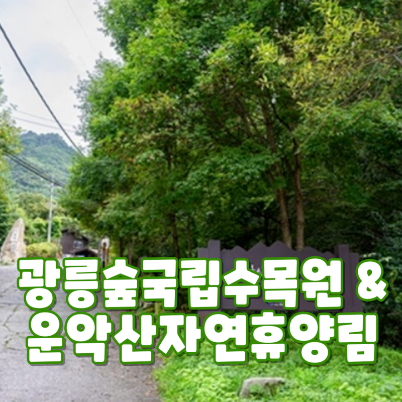 광릉숲국립수목원 & 운악산자연휴양림