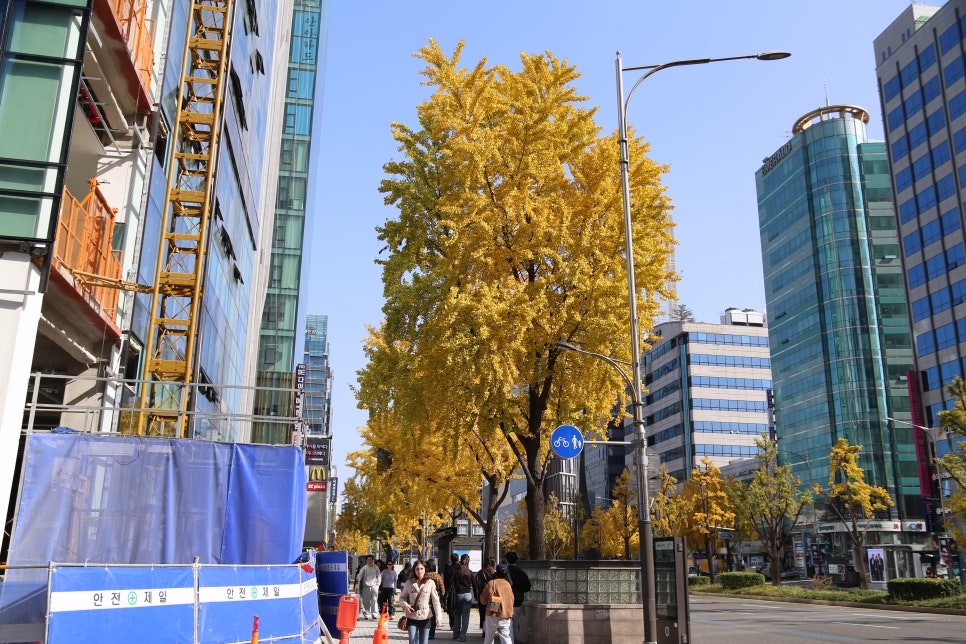 칙피스 가로수길점 사진 1
