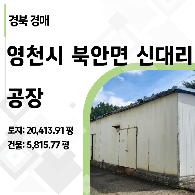  110억짜리 영천 공장, 왜 26억까지 폭락했나? 2024타경114076, 보증금 5억 포기 (재매각 분석)