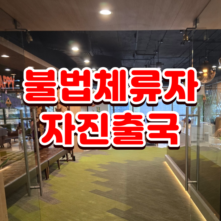  불법체류자 자진출국 25년 12월 01일 ~ 26년 02월 28일까지