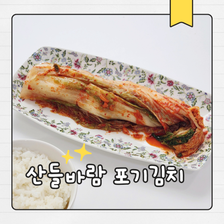  강원도김치 산들바람 포기김치 10kg 후기 및 가격