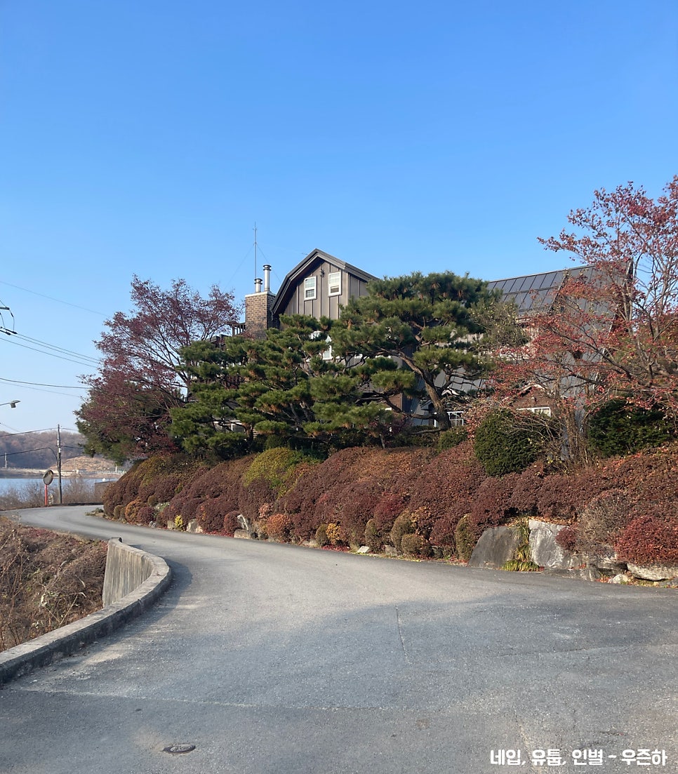솔빛예쁜펜션 사진 2