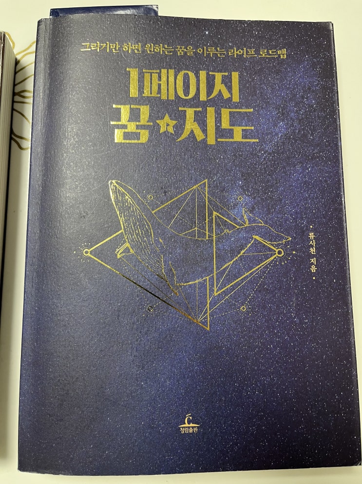  류시천 "1페이지 꿈 지도" 서평 / 꿈을 이루기 위한 구체적인 지도를 제시하는 자기계발서 추천