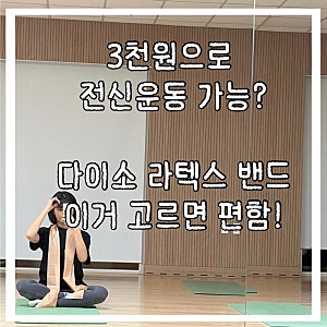 다이소 라텍스밴드(세라밴드) 단계별 추천 | 가격 비교표 사용법