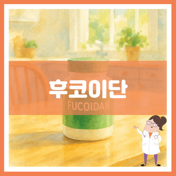  후코이단 효능 섭취방법 부작용