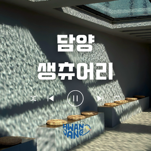  담양 생츄어리 카페 / 아쿠아리움 같은 신비한 카페 리뷰!
