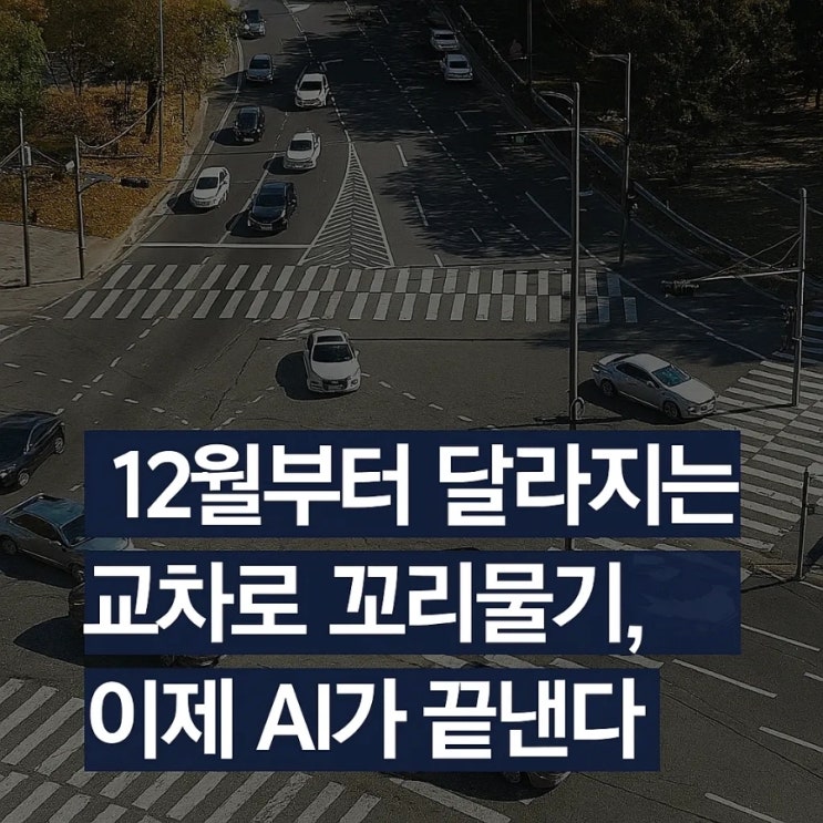  12월부터 달라지는 교차로 꼬리물기, 이제 AI가 끝낸다