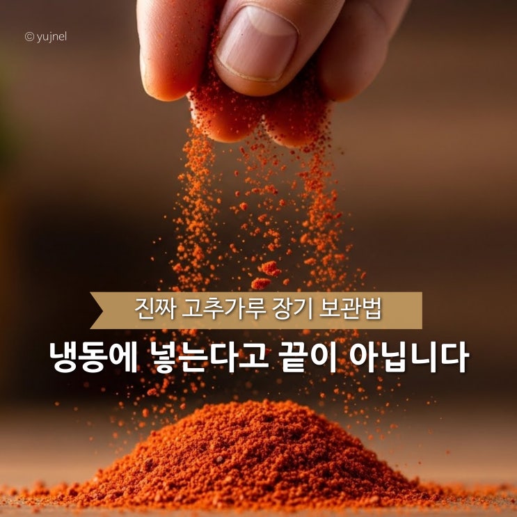  고추가루 냉동 장기보관법 믿었다가.. 2주 만에 벌레 생기는 진짜 원인