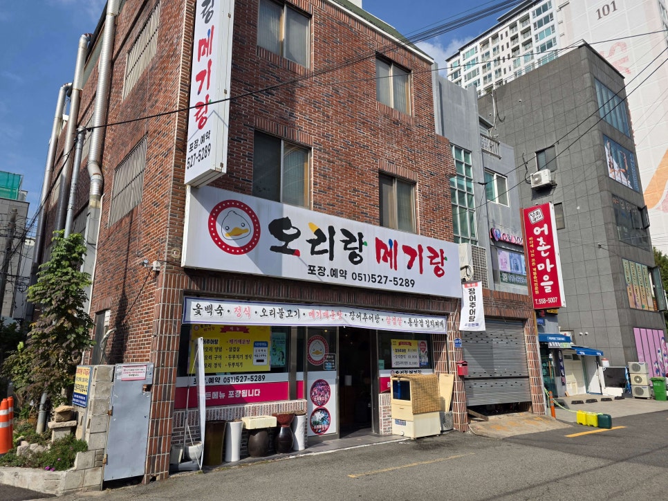 오리랑메기랑 사진 1