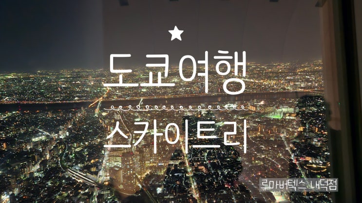  걸음 끝에서 만난 스카이트리 아이와 함께 느낀 감동의 높이