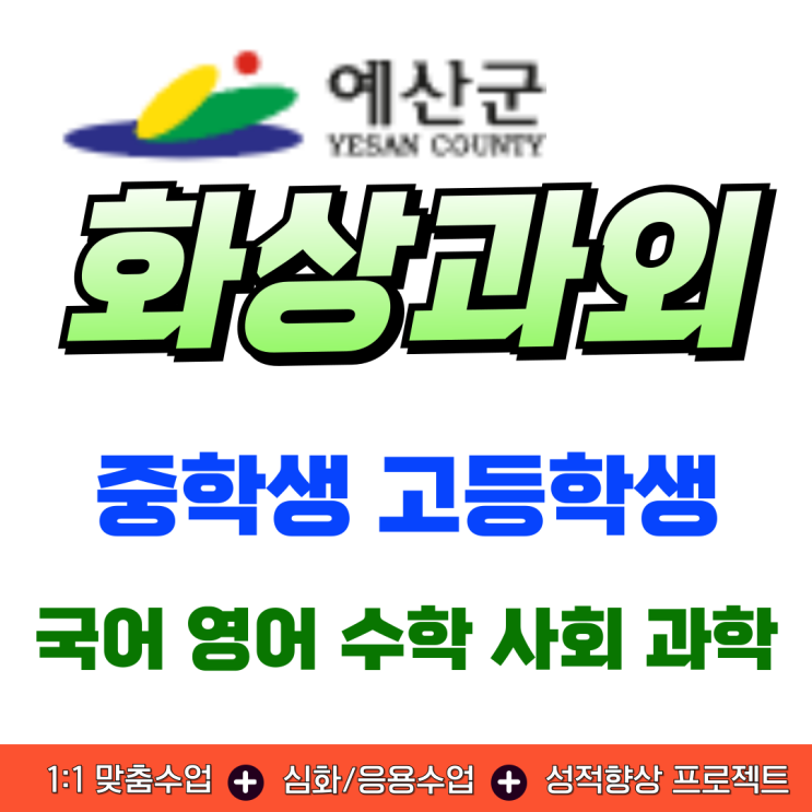  예산군 예비고1 실시간 화상과외, 겨울방학 개념 안정화 과정