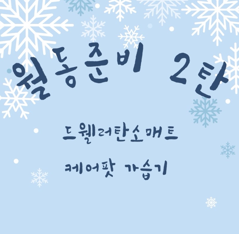 [꿀템] 월동준비 2탄⛄️ 전자파안심 드웰러 탄소매트 | 올스텐 가열식 케어팟 가습기