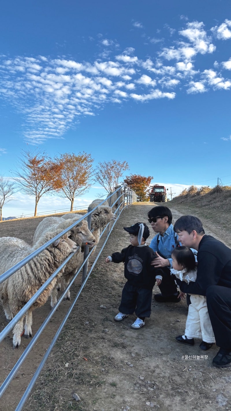 울산 하늘목장 동물 먹이주기 체험 울산 아이랑 가볼만한곳