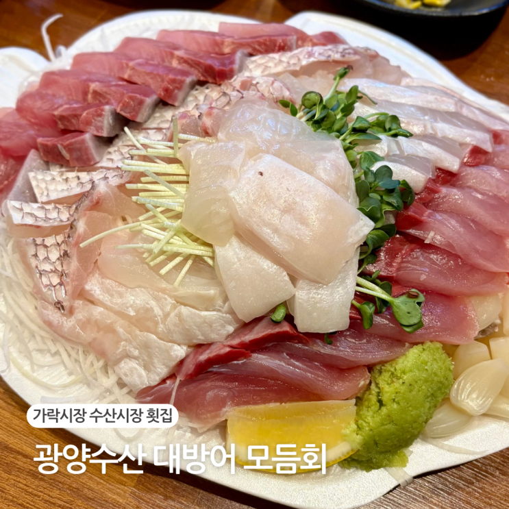  가락시장 수산시장 광양수산 대방어 모듬회 맛집 가락몰 초장집 추천