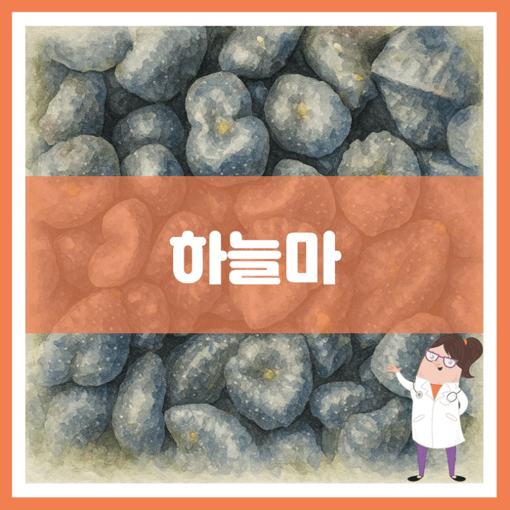 하늘마 효능 부작용 보관방법