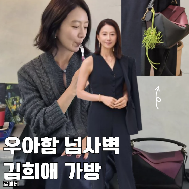  우아함 넘사벽 김희애 가방 로에베 퍼즐백 스몰 요즘 가격 얼마?