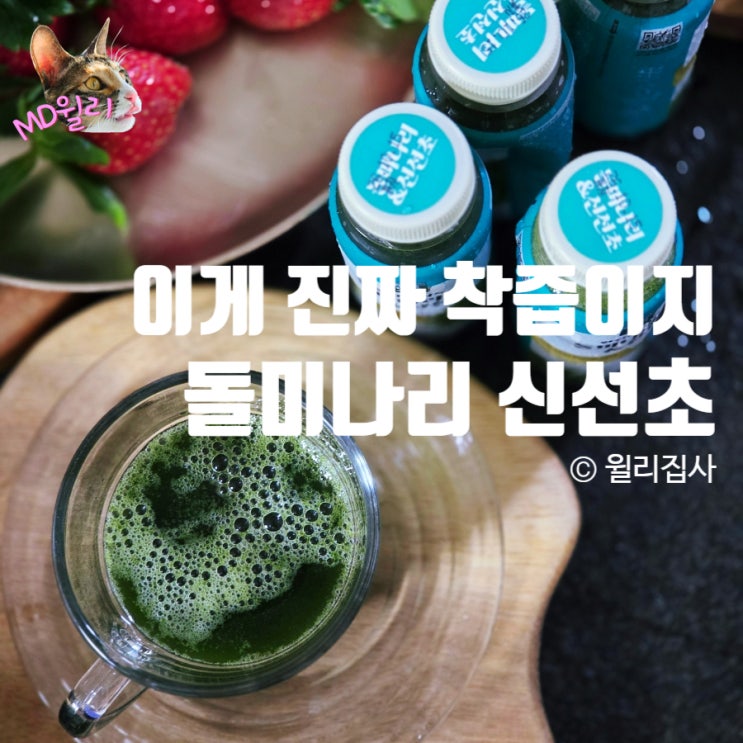  햇풀먹인 간에 좋은 돌미나리 신선초 녹즙 착즙 클렌즈 건강한 맛 그린 주스