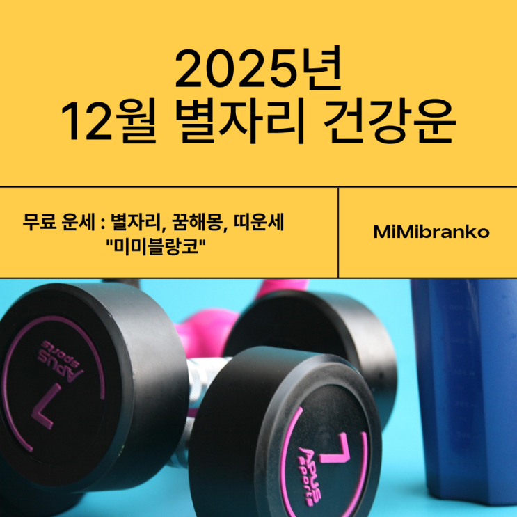  2025년 12월 별자리 건강운