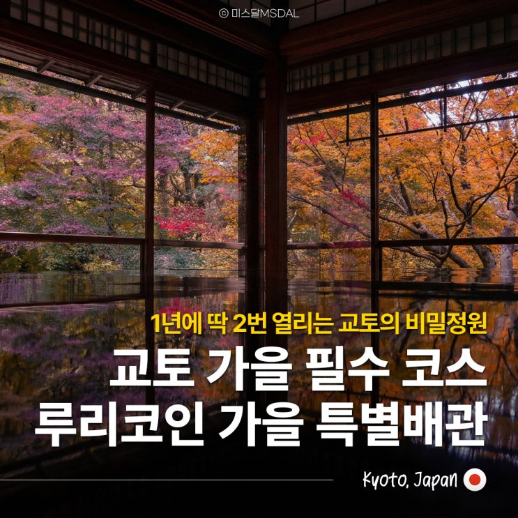  교토 단풍 여행 명소, 1년에 딱 2번 열리는 루리코인 :: 가을 특별배관 예약방법 & 관람 꿀팁 등 후기